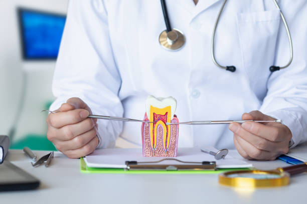Best Emergency Dental Care for Broken or Chipped Teeth in Monongah, WV